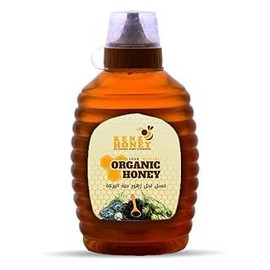 الغذاء الشافى عسل نحل زهور حبة البركة 450 جم#