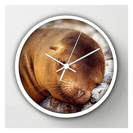 انفينتى بدى سبلاش ارابيان نايتس 150 مل 