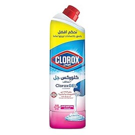 كلوركس جل منظف 750 مل