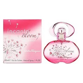 نايت برفان رجالى 100 مل #